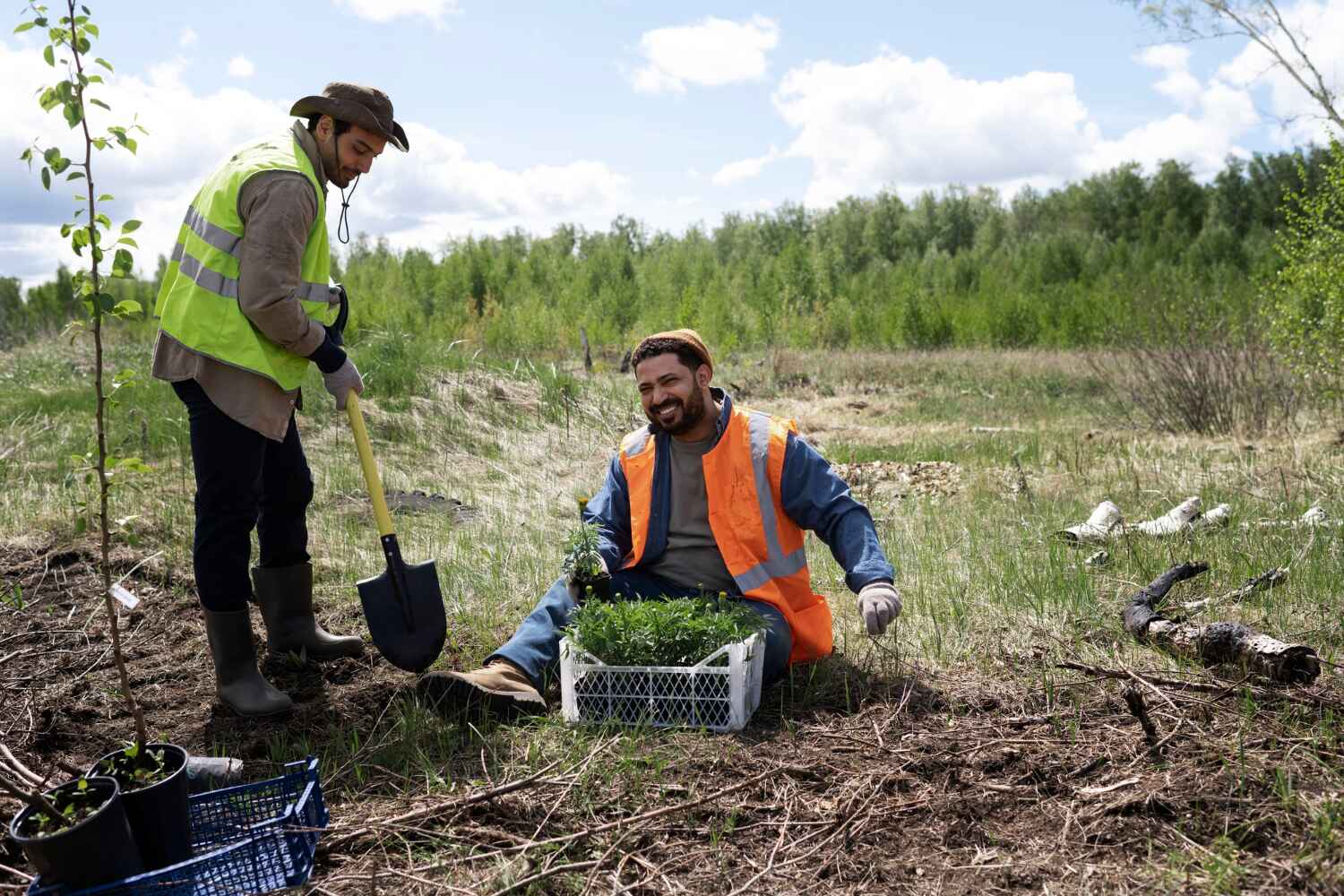 Reliable Lewiston, MN Tree Service Solutions